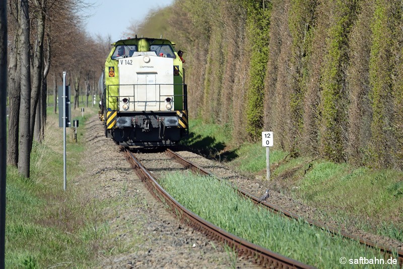 Auch das Gleis grünt: Aus den Getreidewaggons herausgefallene Körner entwickeln sich nun zunehmens zu einer Pflanze. V142 nahe der Ortschaft Grßzöberitz.