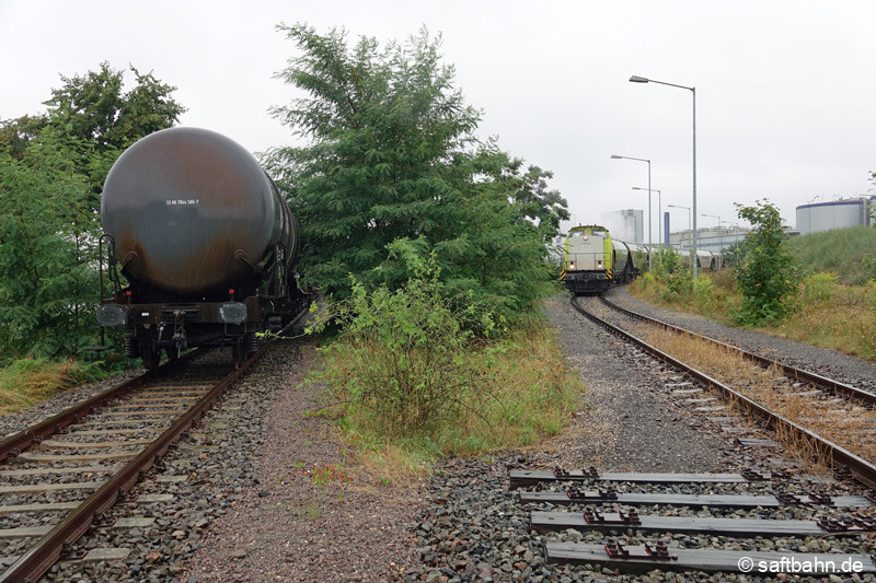 Lok V141 im Werksgleis des Verbio-Werkes, im Rahmen der Leerwagenabholung. Links auf dem Streckengleis stellte die Lok einen leeren Kesselwagen ab.