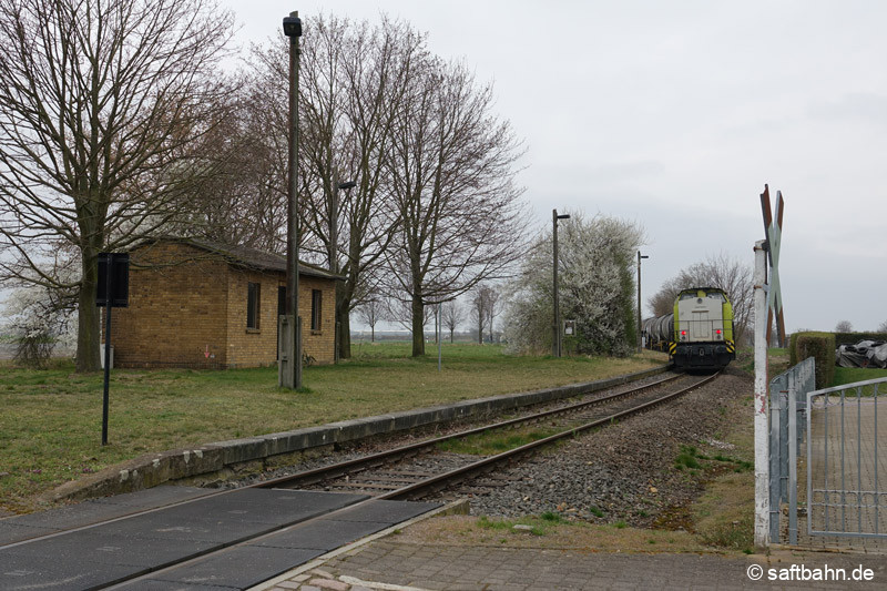Heideloh am 29.03.2022: Einen leeren Schnapskesselzug bringt V141 nach Zörbig und befindet sich hier auf der Ortsdurchfahrt in Heideloh.
