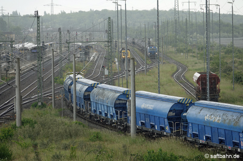 Einfädelungsstau im Bahnhof Bitterfeld. V142 muss warten, bevor die Einfahrt möglich war.