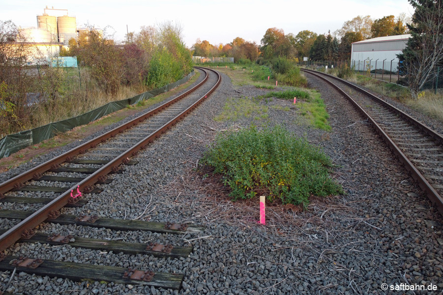 Abgeflockter Bereich der zukünftigen Gleistrasse am km 14,2 am 01.11.2022.