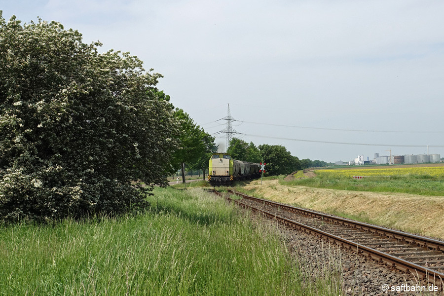 Zwischen Zörbig und Großzöberitz, auf dem Weg nach Bitterfeld Nord.