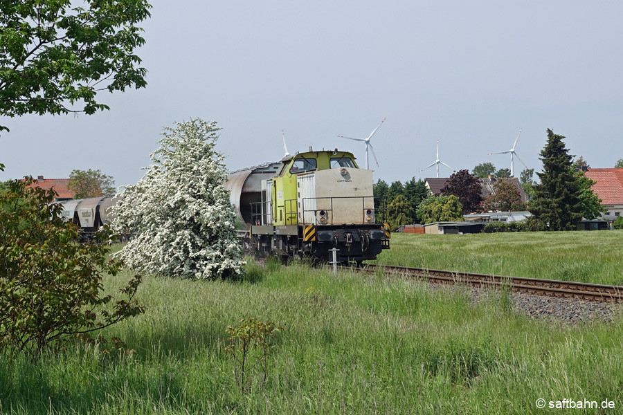 In Heideloh führte die Fahrt an duftend-blühenden Sträuchern vorbei.