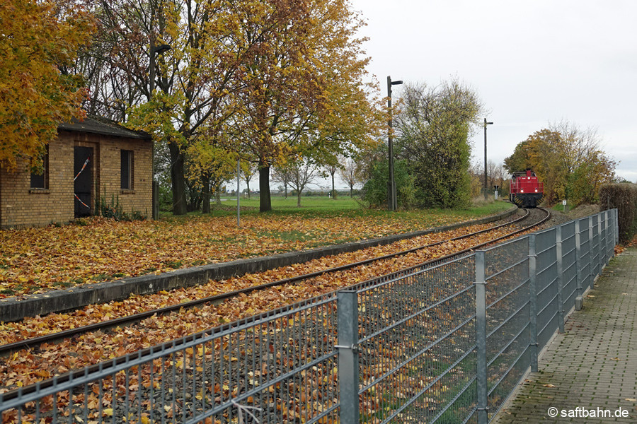 Als Triebfahrzeugfahrt nach Bitterfeld erreicht 275 027 den herbstlich blattvergoldenem-einstigen Haltepunkt Heideloh.