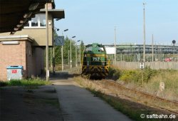 Bild des Monats