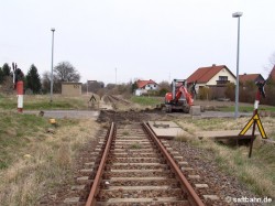 Bild des Monats
