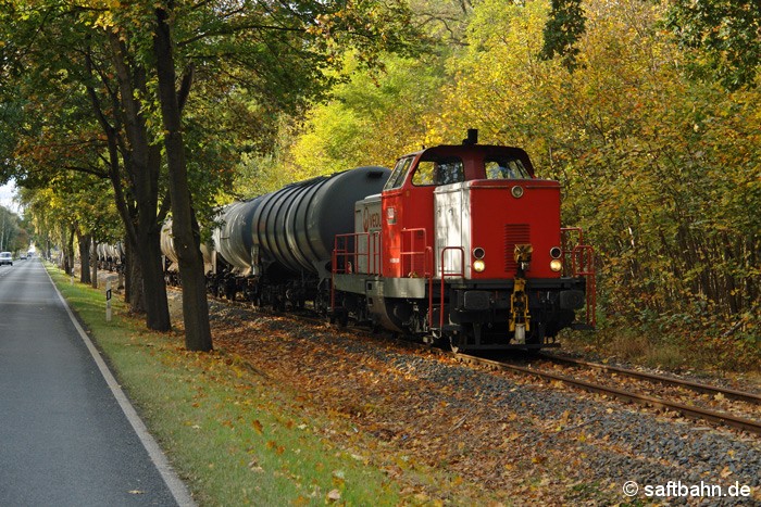 Herbstlich ansprechend war am 12.10.2009 der bunte Blätterwald im 