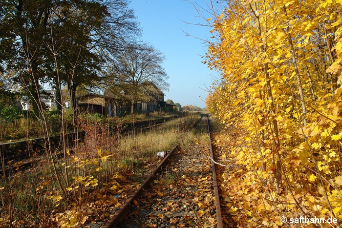 Herbstliches Stillleben im Zörbiger Bahnhof. Die Vegetation nahm sich am 01.11.2011 eine Auszeit und bereitete sich auf die Winterjahreszeit vor. 