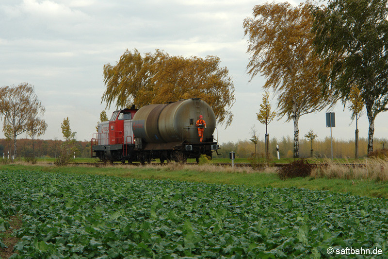 Nur einen einzelnen Kesselwagen schiebt aus Bitterfeld kommend der Lokrangierführer mit seiner V133 am 26.10.2009 nach Zörbig. Bei Heideloh konnte die Bedienfahrt mit einem angrenzenden Zuckerrübenfeld aufgenommen werden.