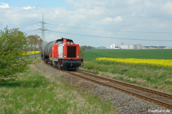 Bild des Monats