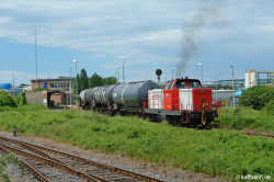 Bild des Monats