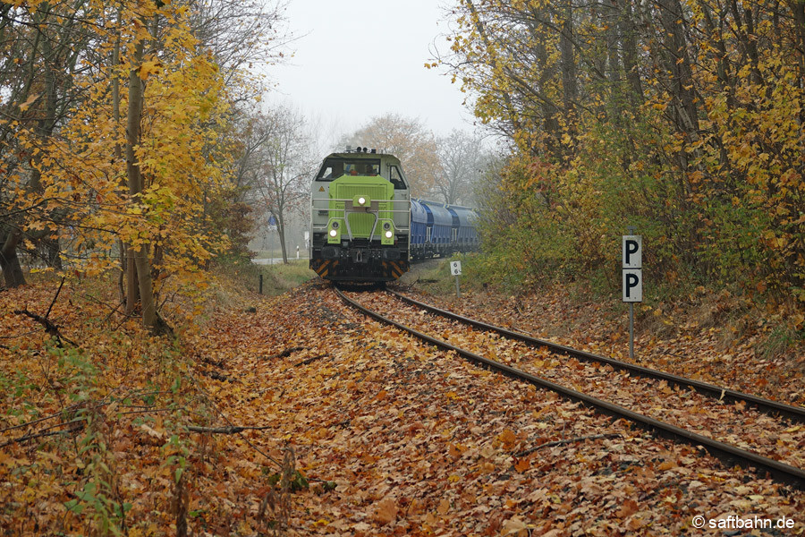 Trotz des trüben Herbstwetters am 12.11.2021, konnte 650 093 mit ihrem Leergetreide aus Zörbig am Sandersdorfer Strandbad mit einem gold-gelben Blätterteppich herbstlich in Szene gesetzt werden.