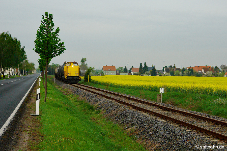 Tag der Arbeit: Am 1. Maifeiertag 2010 hatte Lok V141 Dienst und bespannte einen Biokraftstoffzug aus Zörbig nach Bitterfeld Nord. Hinter Heideloh gelang dieses Bild, mit einem farbenfrohen-gelb duftendem Rapsfeld.